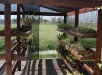 Criação da Área de Estufa - Novas Plantas para o Jardim.
