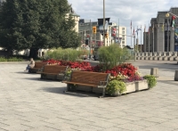 Vista Jardineiras Rua Canadá Ottawa