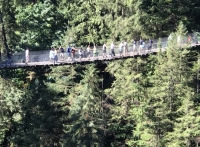 Vista Ponte Suspensa Floresta Vancouver Canadá